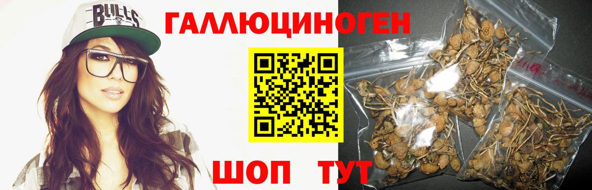 Галлюциногенные грибы GOLDEN TEACHER  Вход с VPN  Северобайкальск  где продают   Галлюциногенные грибы MAGIC MUSHROOMS 