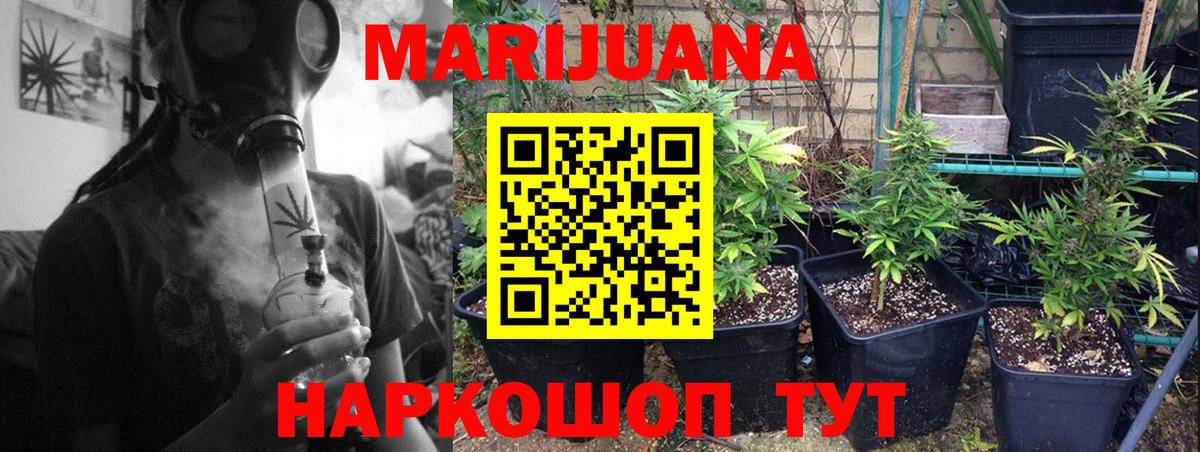Шишки марихуана план  Вход с VPN  Бошки марихуана SATIVA & INDICA  Северобайкальск 